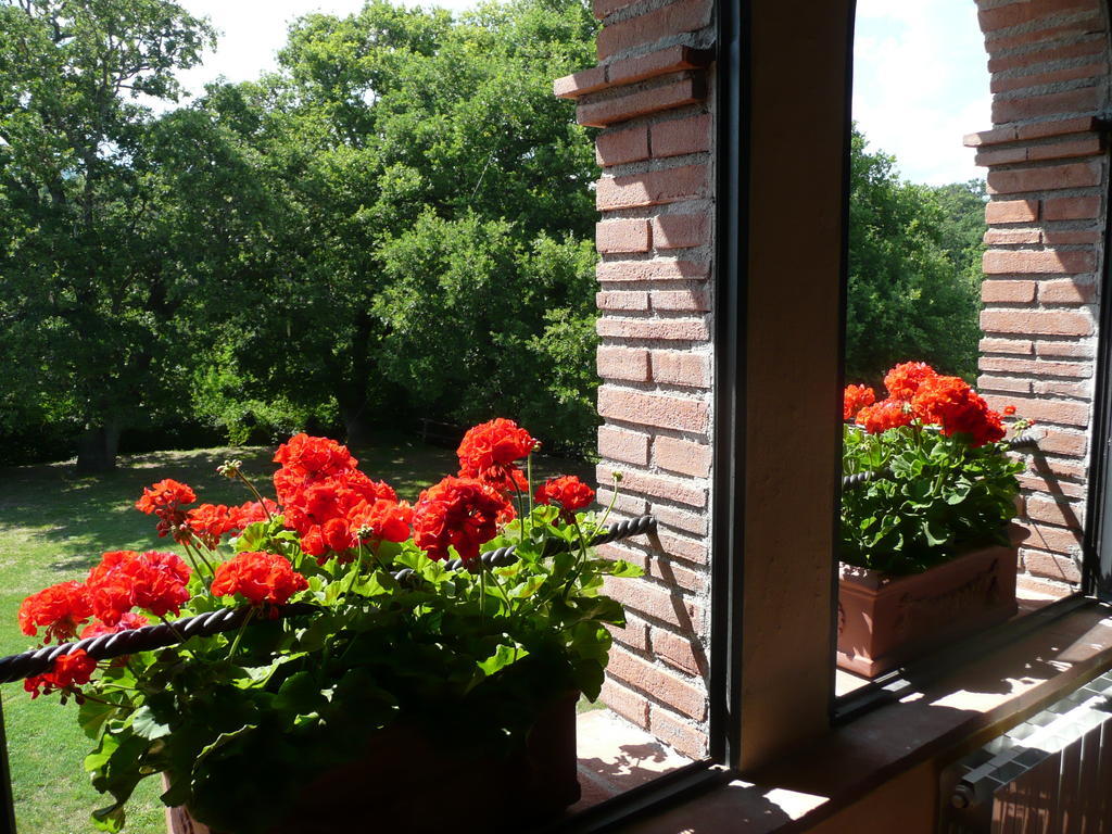 Agriturismo Colli Di Travale Montieri Rom bilde